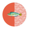Sottopiatto rivestito Aquarium Arancio set da 2 pezzi